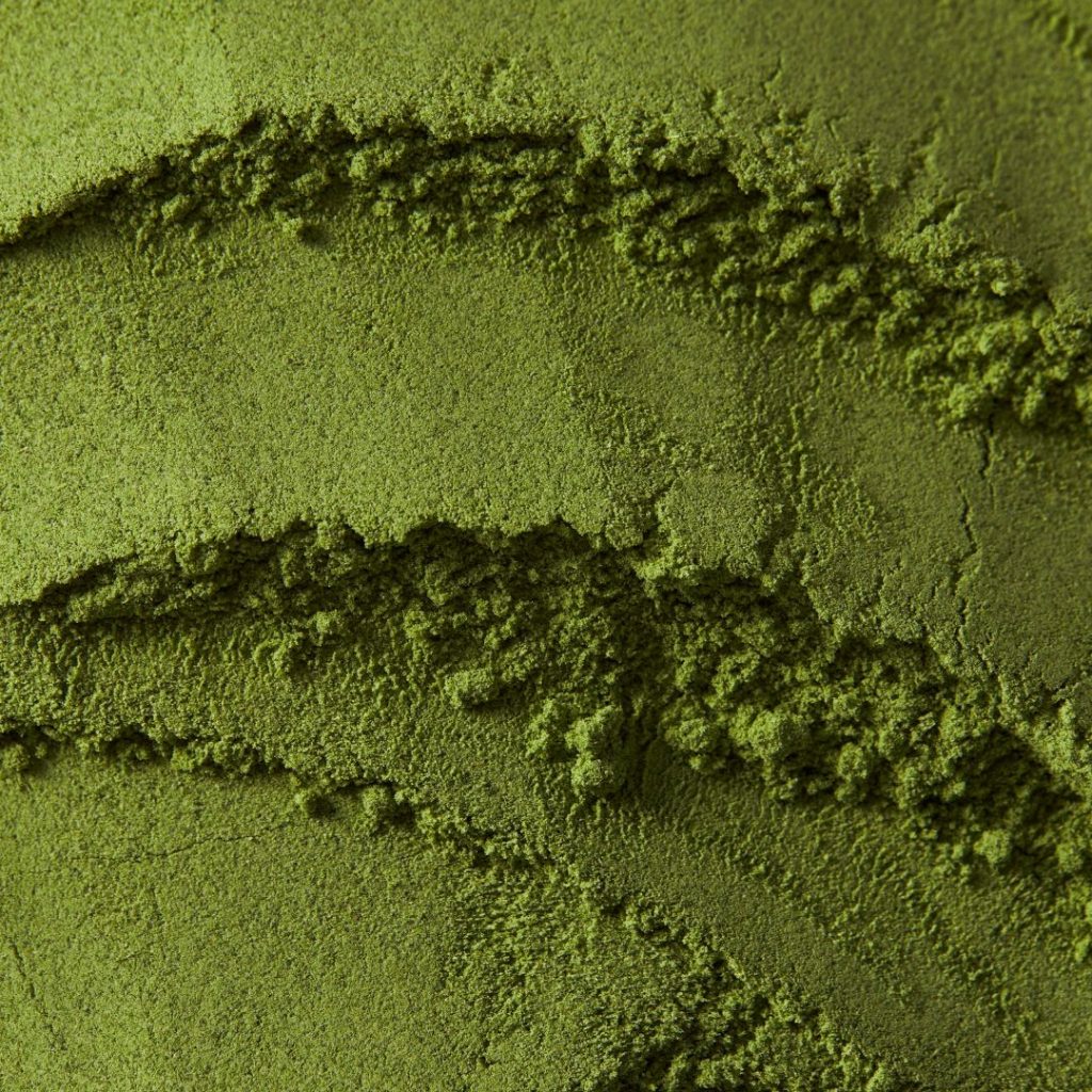 poudre de matcha